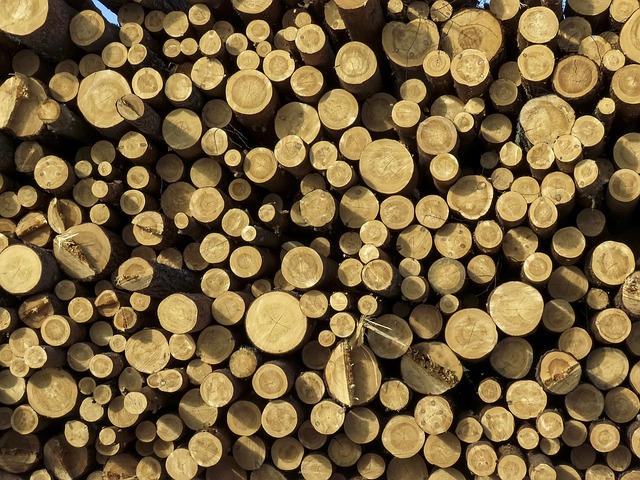 Fra novice til ekspert: Sådan kan en høvlbænk fra Holzmann hjælpe dig med at forbedre dine træbearbejdningsfærdigheder