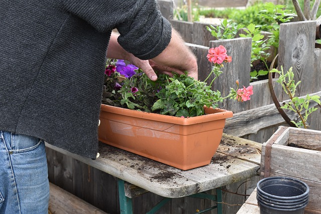 Plantebordet som grøntsagsstation: Dyrk dine egne urter og salater